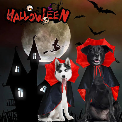 Dracula's Cloak - Halloween Costume