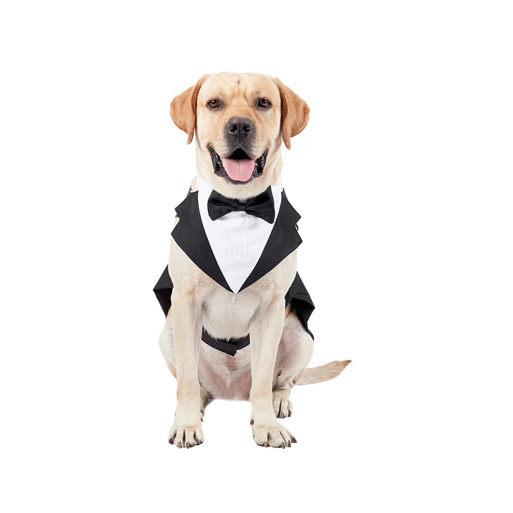 Handsome Gentleman - Dog Costume