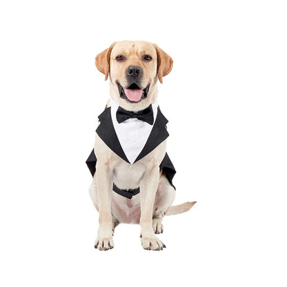 Handsome Gentleman - Dog Costume
