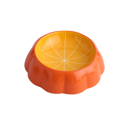 Fruity™ - Ceramic Dog & Cat Water + Food Bowl