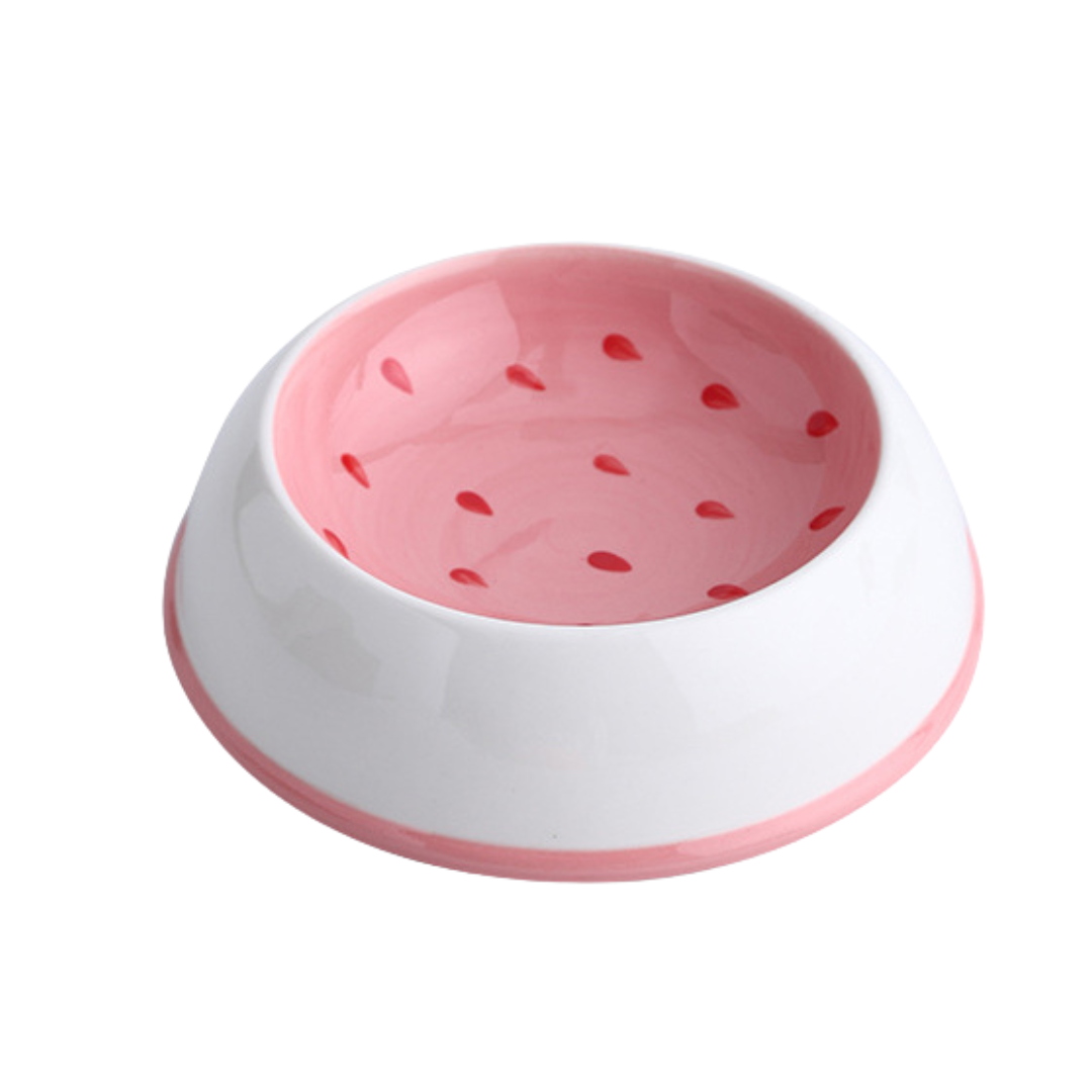 Fruity™ - Ceramic Dog & Cat Water + Food Bowl