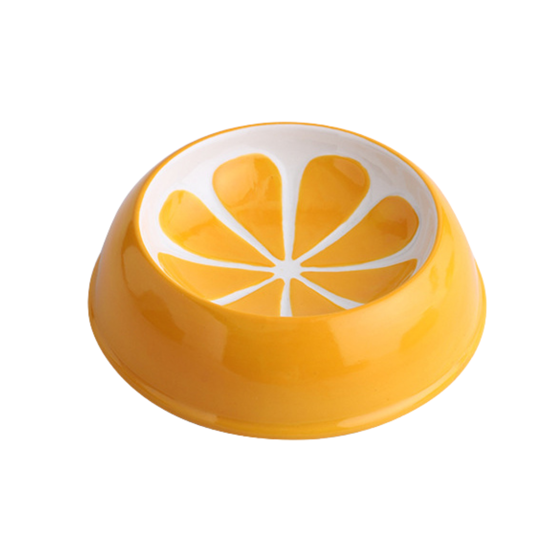 Fruity™ - Ceramic Dog & Cat Water + Food Bowl