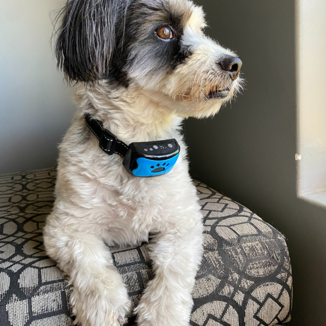 GentleGuard™ - Anti Anxiety Bark Collar