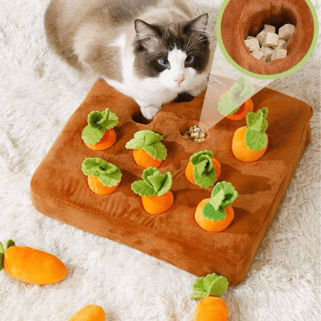 Carrot Garden™ - Interactive Cat Toy