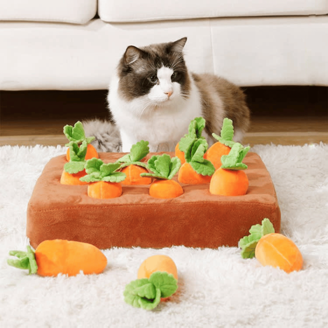 Carrot Garden™ - Interactive Cat Toy