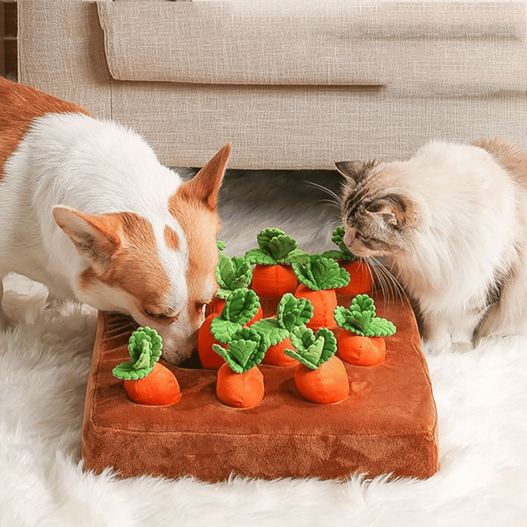 Carrot Garden™ - Interactive Cat Toy