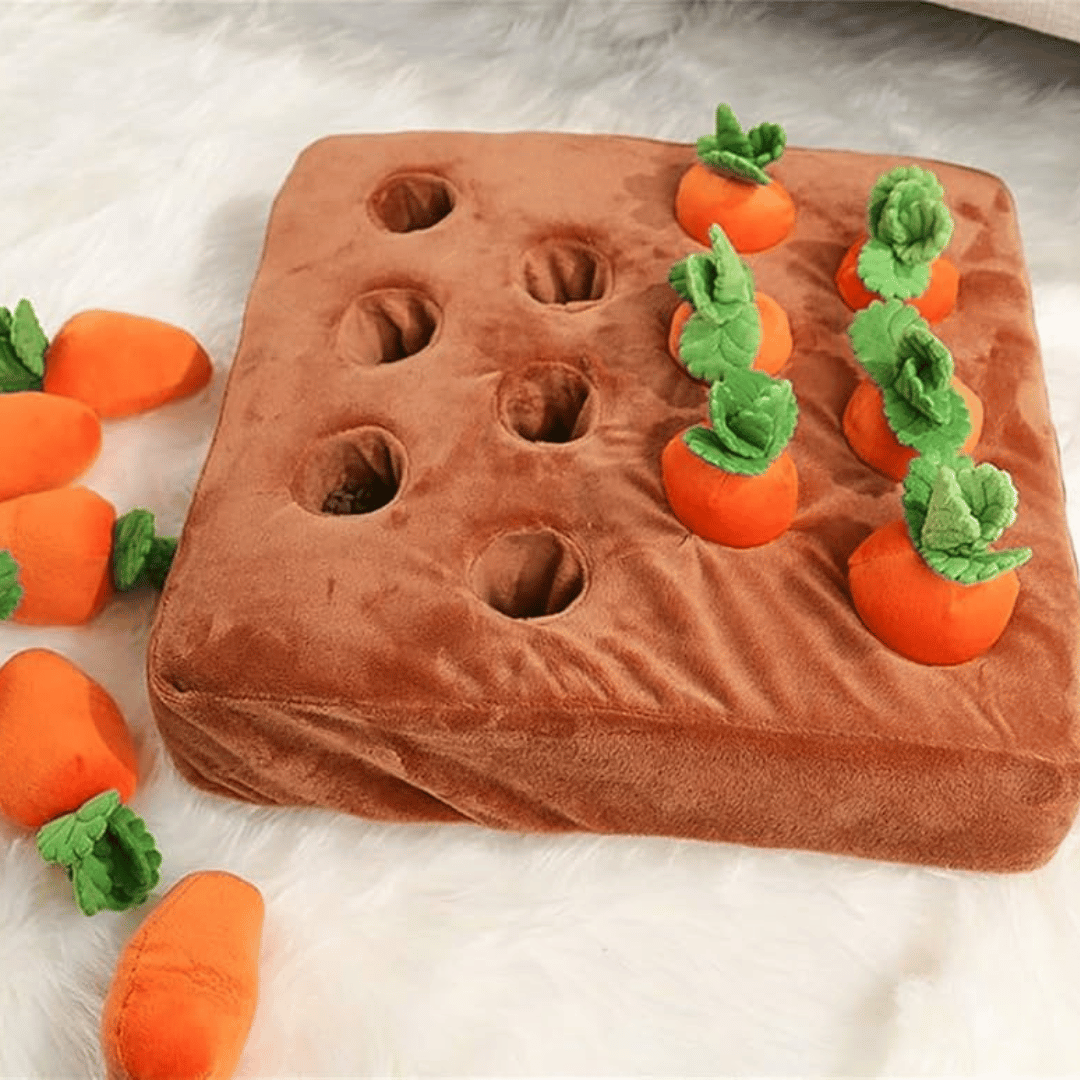 Carrot Garden™ - Interactive Cat Toy