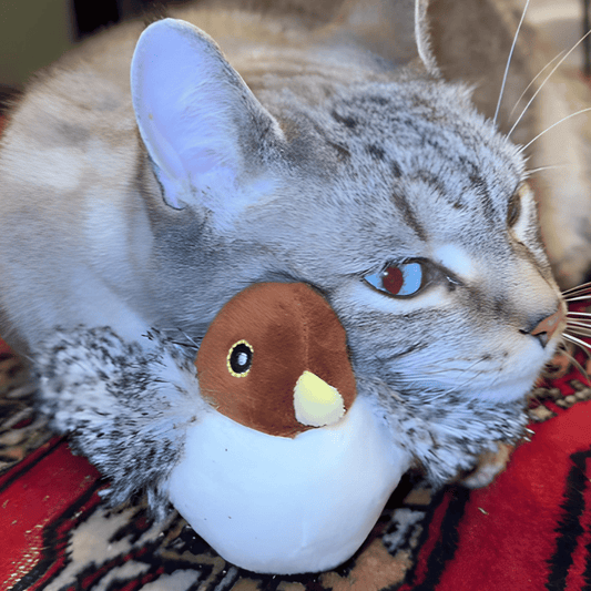 Flappy Bird™ - Cat Toy