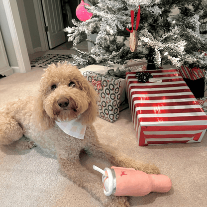 Pup Cup™ - Calming Dog Toy