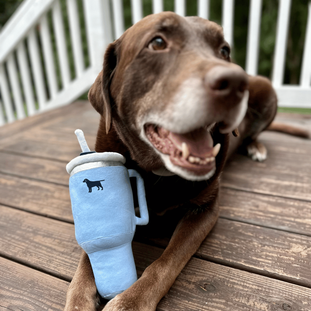 Pup Cup™ - Calming Dog Toy