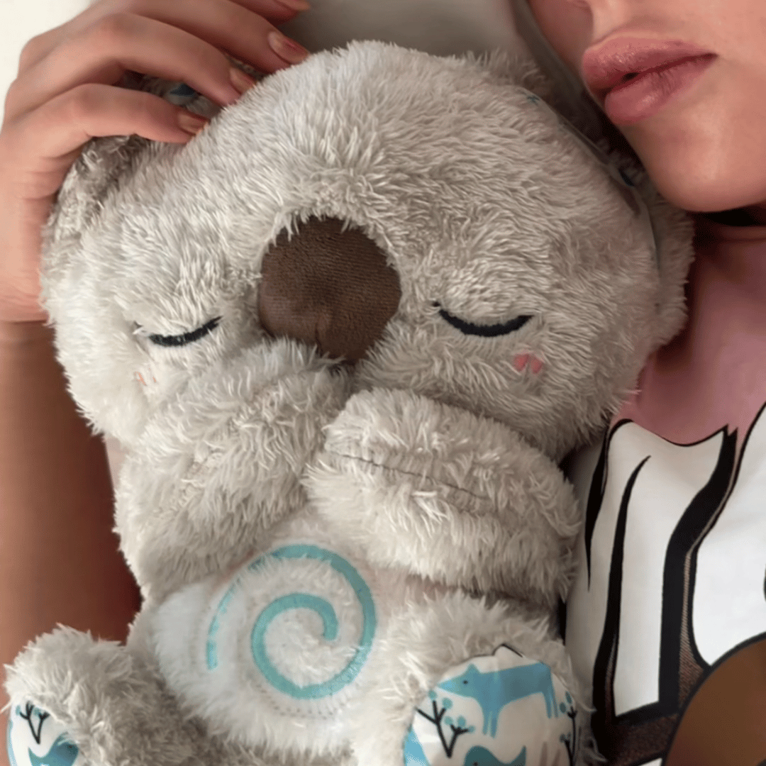 The Relief Koala - PetHaven