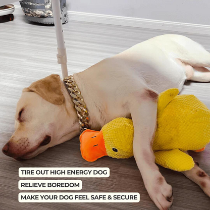 Calming Duck - Dog Toy