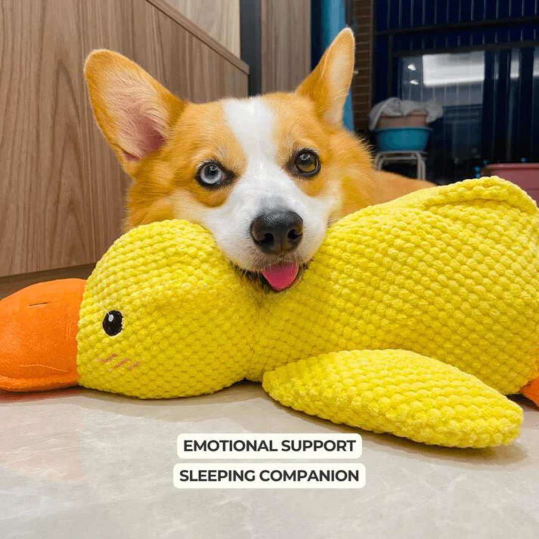 Calming Duck - Dog Toy