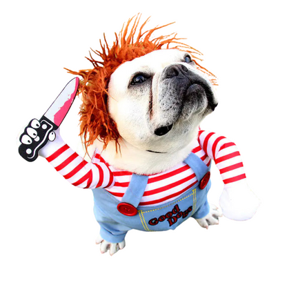 Limited Edition: Chucky Dog Costume