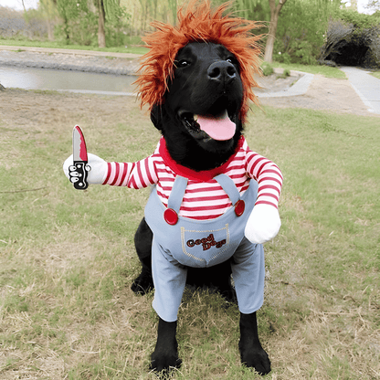 Limited Edition: Chucky Dog Costume