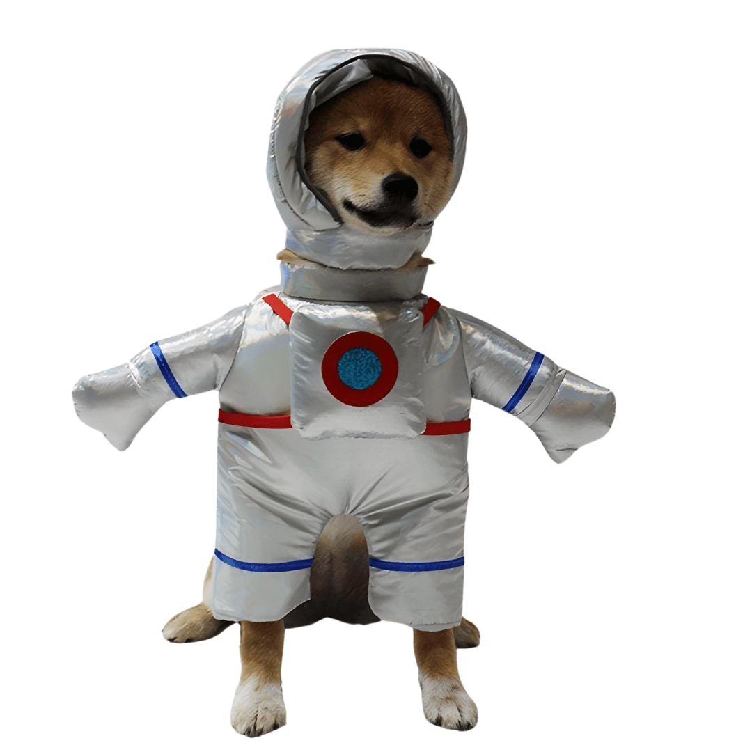 Astronaut - Dog Costume