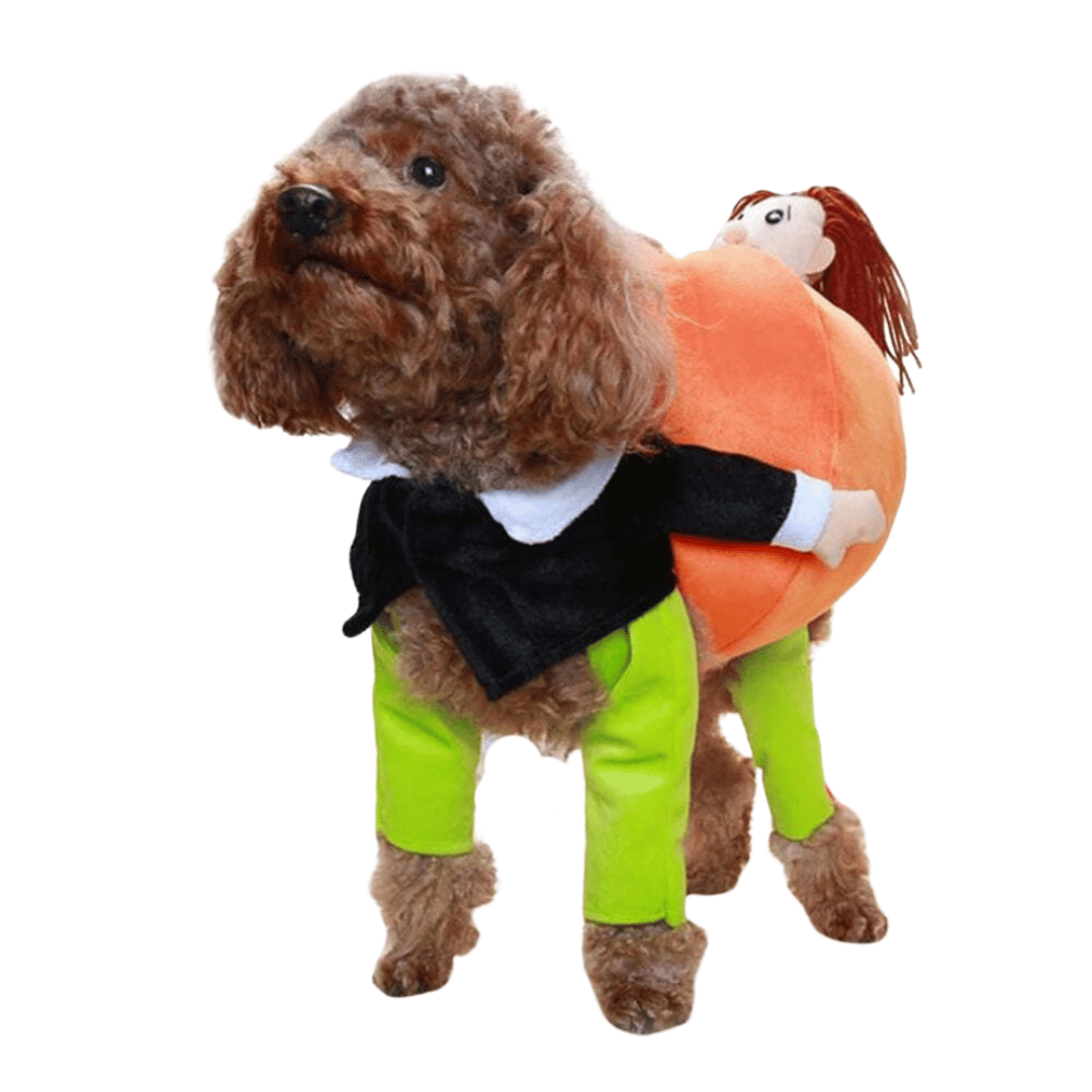 Pumpkin Patch Dog Costume