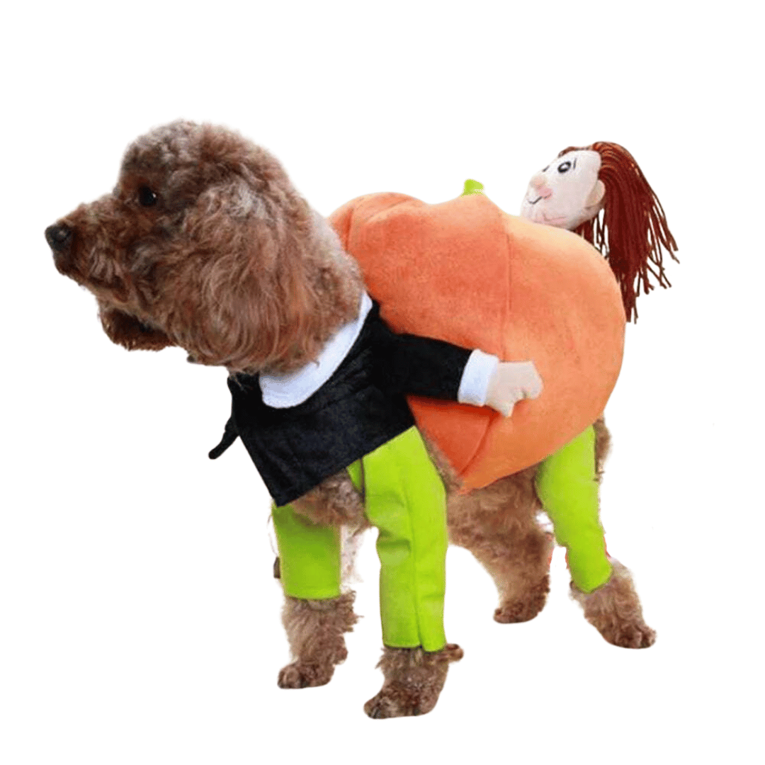 Pumpkin Patch Dog Costume