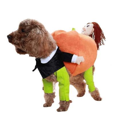 Pumpkin Patch Dog Costume