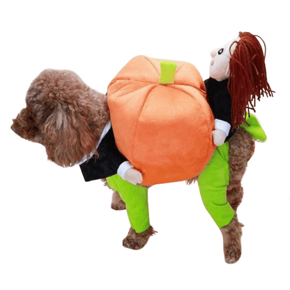 Pumpkin Patch Dog Costume