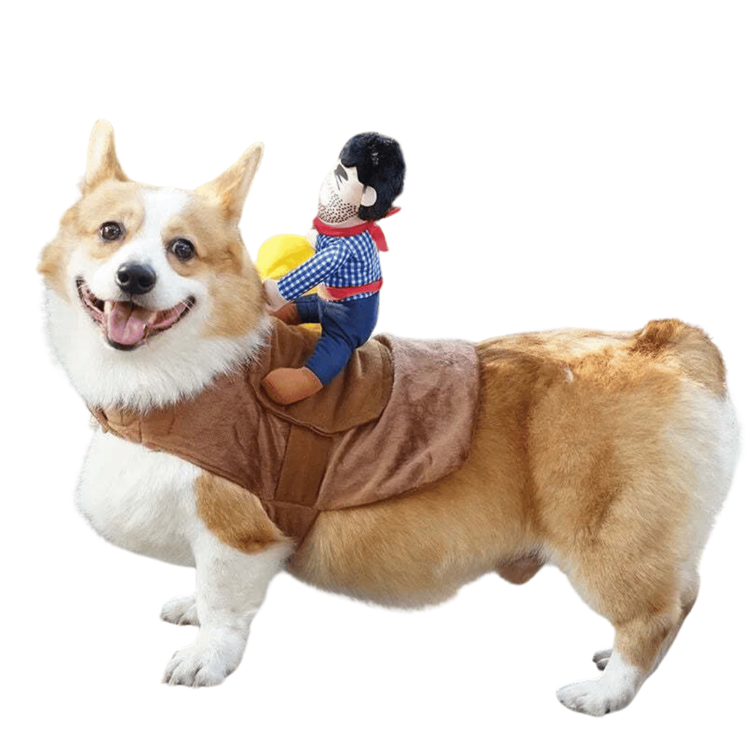 Riding Cowboy Dog Costume