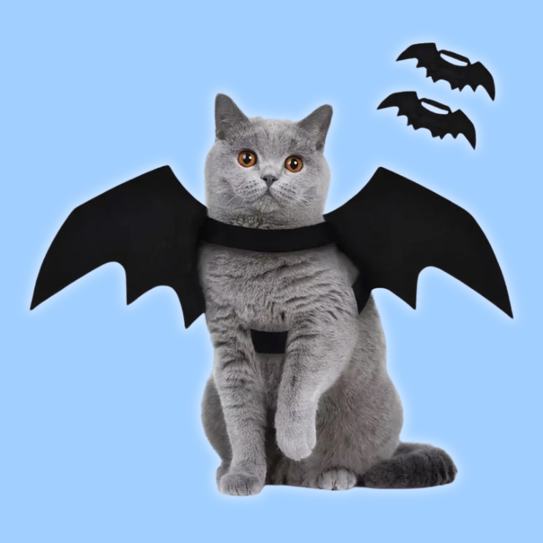 CAT BAT WINGS™