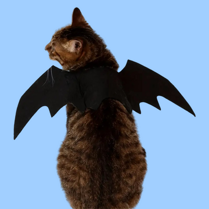 CAT BAT WINGS™