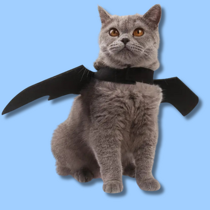 CAT BAT WINGS™