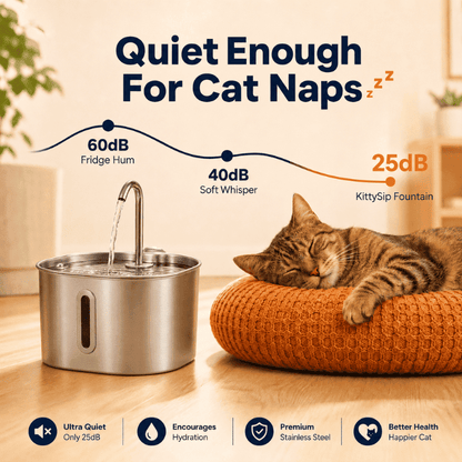 The KittySip™ - 2.2L Fountain