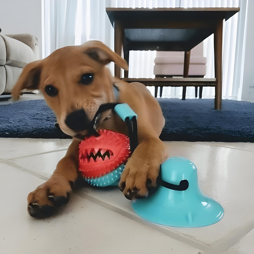 TuggyWuggy™ - Interactive Dog Toy