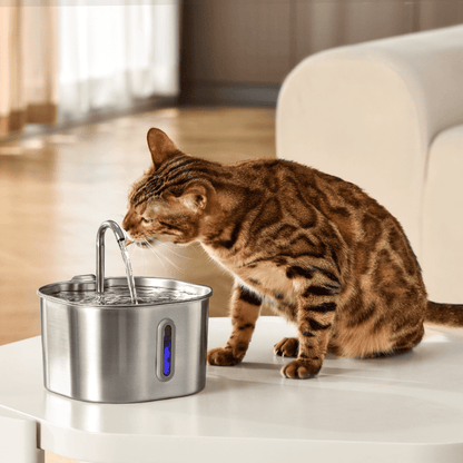 Cat drinking water from a stainless steel pet fountain on a table.