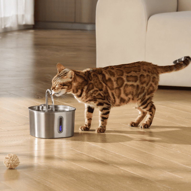The KittySip™ - 2.2L Fountain