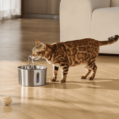 The KittySip™ - 2.2L Fountain
