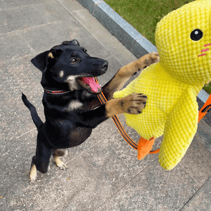 Calming Duck - Dog Toy
