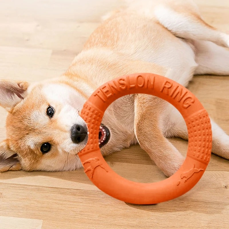 Indestructible Ring Dog Toy